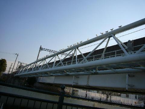 a0018200_954769.jpg