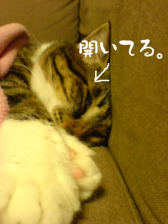 c0035001_17133273.jpg