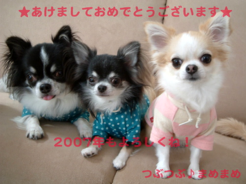 a0079803_22145631.jpg