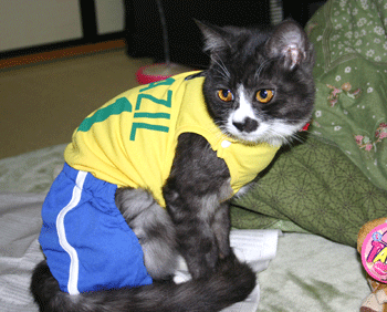 a0041108_21195452.gif