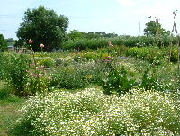 e0046112_049527.jpg