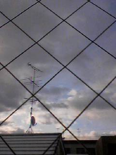 e0095715_794032.jpg