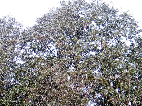 f0107315_0171199.jpg