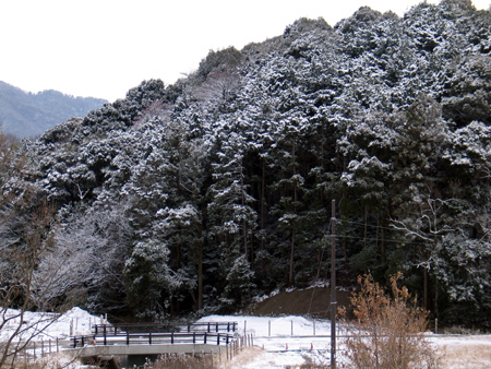 f0107315_020881.jpg