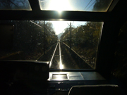 d0042618_525318.jpg