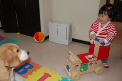 c0042319_048467.jpg
