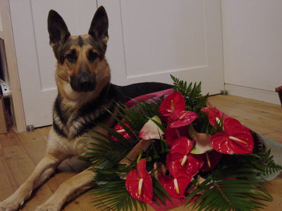 c0090220_9113571.jpg