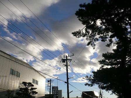 f0090125_9331338.jpg