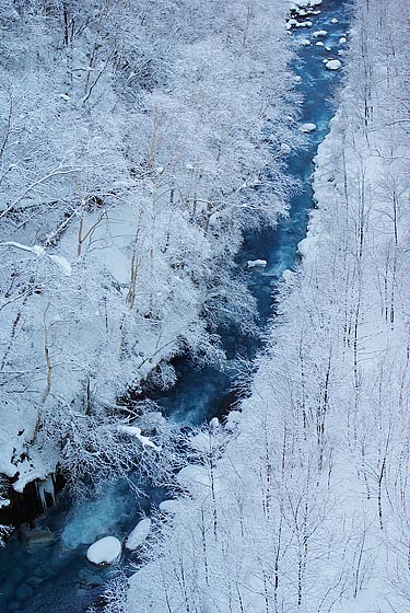 e0025030_171595.jpg