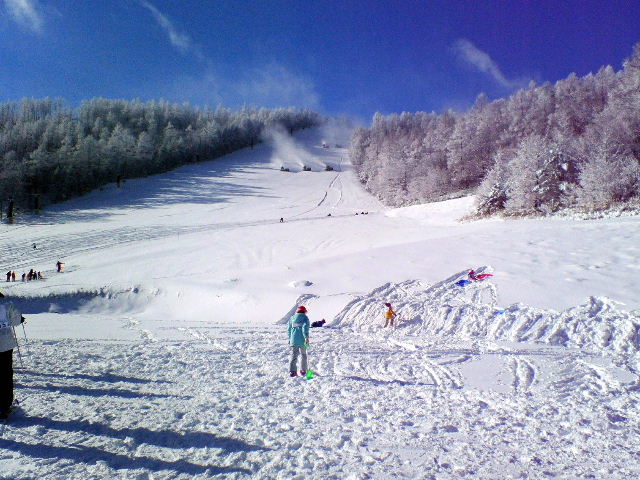 e0064133_2016826.jpg