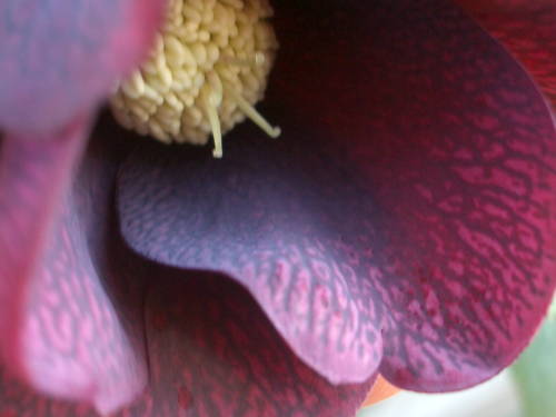 c0025140_23324755.jpg
