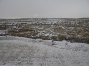 e0104941_54276.jpg