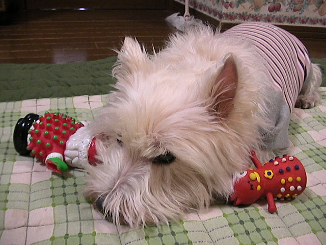 f0034444_23382968.jpg