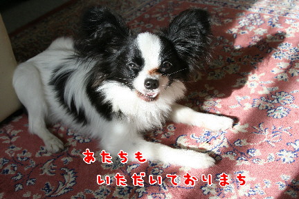 d0013149_0285961.jpg