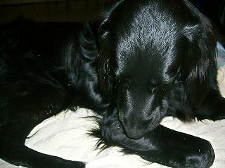 f0050955_1436645.jpg
