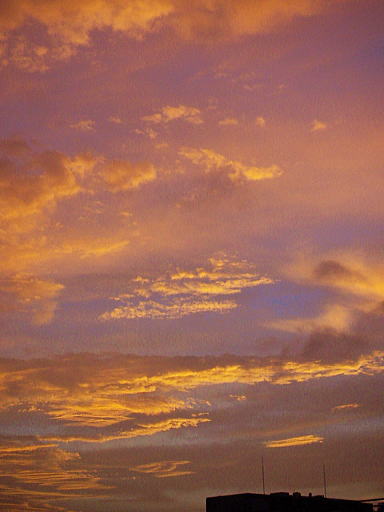 c0031856_10471413.jpg