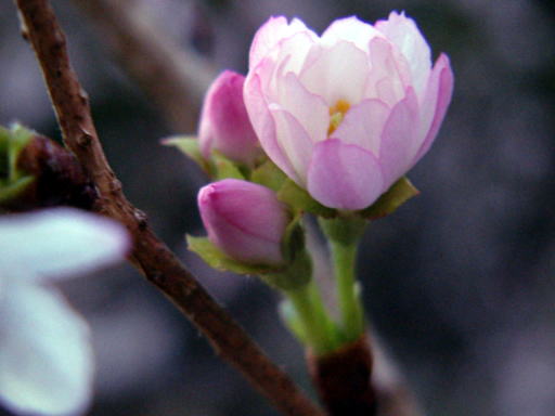 c0031856_21403663.jpg