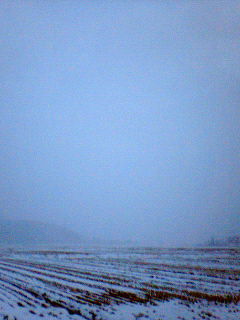 c0060659_17421315.jpg