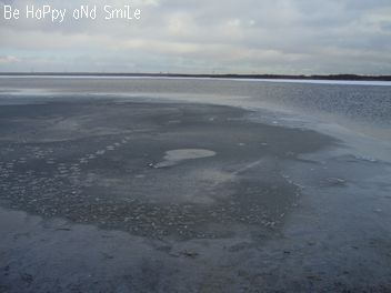 f0077759_6301485.jpg
