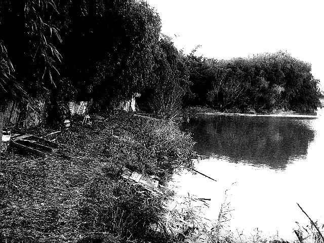 f0084561_10432548.jpg