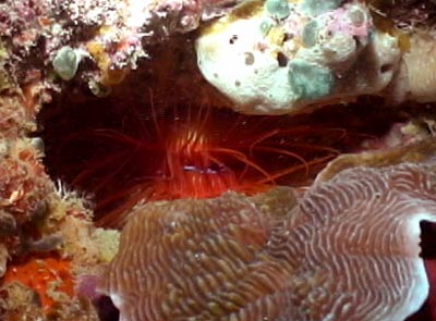 b0062363_16584315.jpg