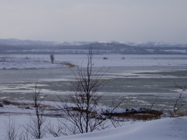 d0018763_1632176.jpg