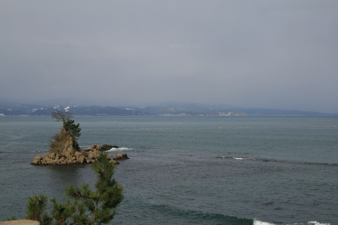 d0090170_1751970.jpg