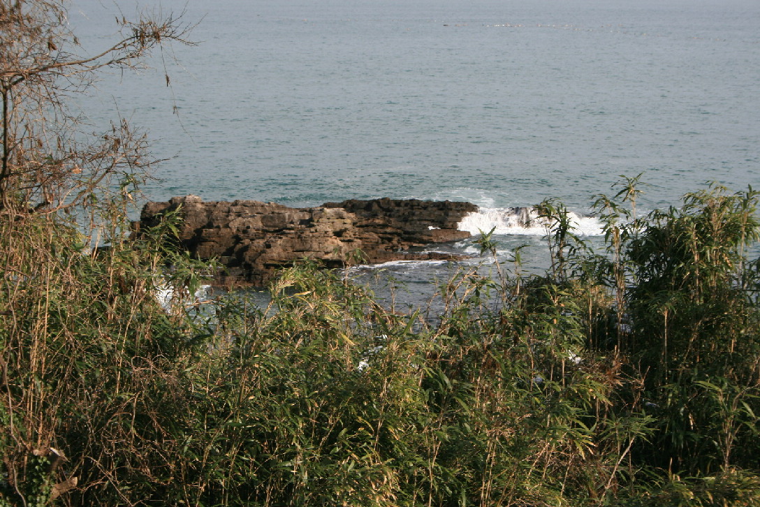 d0090170_1757255.jpg