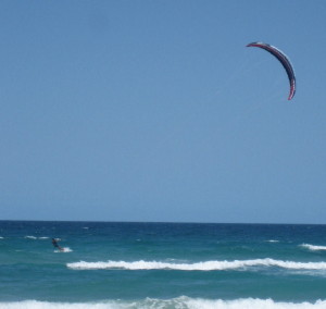 c0105474_057366.jpg