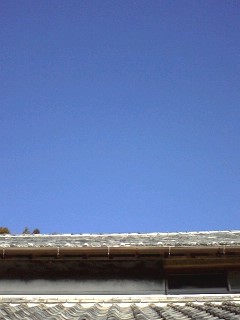 d0003076_2162513.jpg