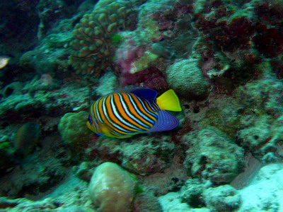 a0002177_20414265.jpg