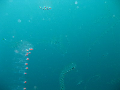 a0002177_20461864.jpg