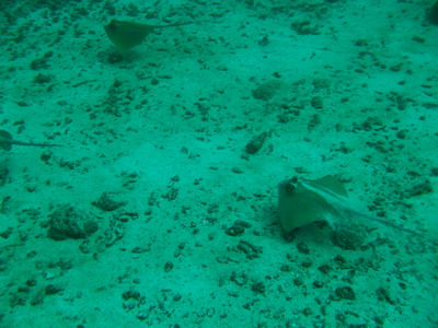 a0002177_9428100.jpg