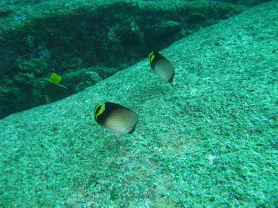 a0002177_9432565.jpg