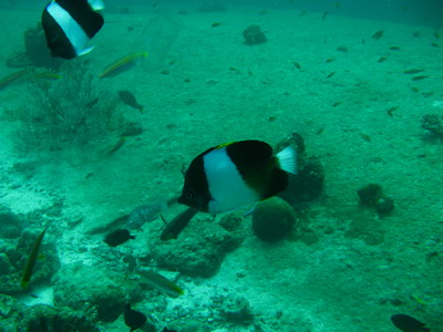 a0002177_944883.jpg
