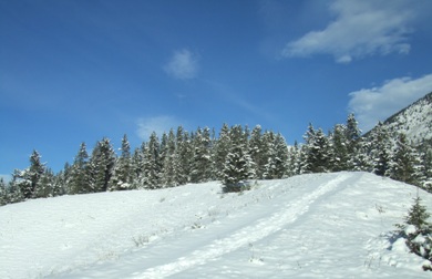 a0047577_1035639.jpg