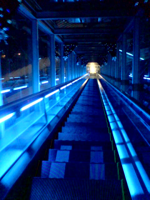 c0068882_22495583.jpg