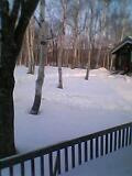 e0047185_8472580.jpg