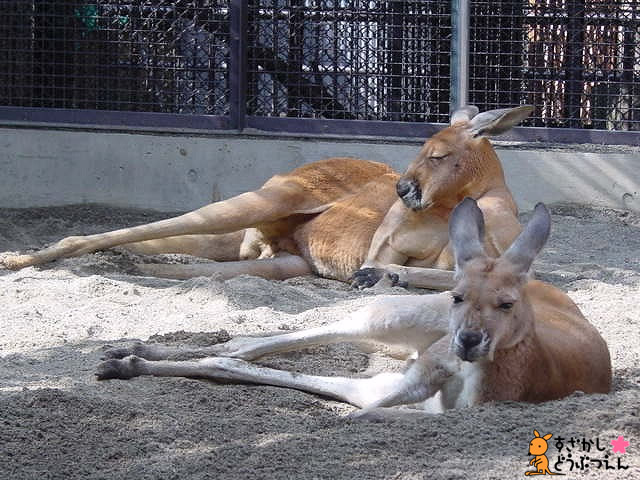 f0077097_11261899.jpg