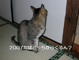c0103205_2085330.jpg