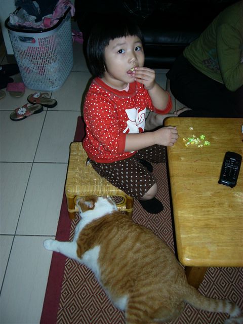 d0068807_8321576.jpg