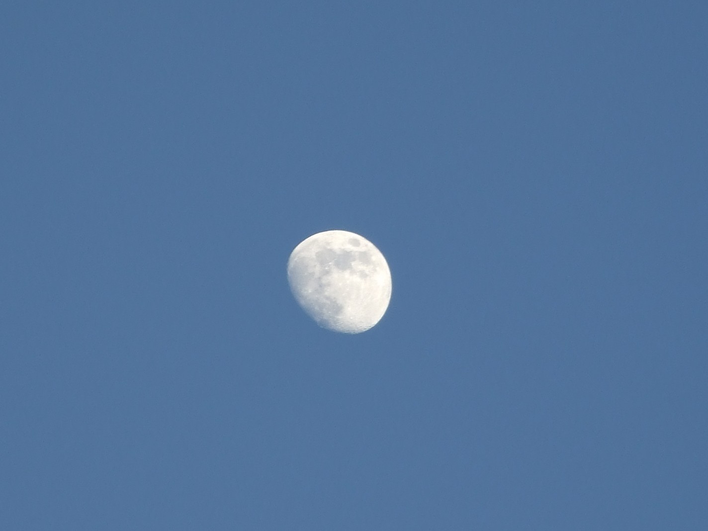 b0061010_18503494.jpg