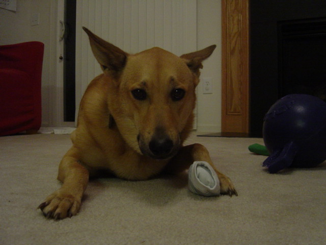 c0079011_1253827.jpg