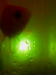 e0095715_210179.jpg