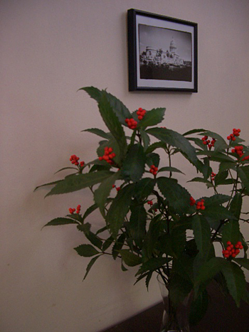 e0105916_11175013.jpg