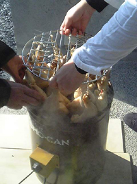 e0095517_211777.jpg