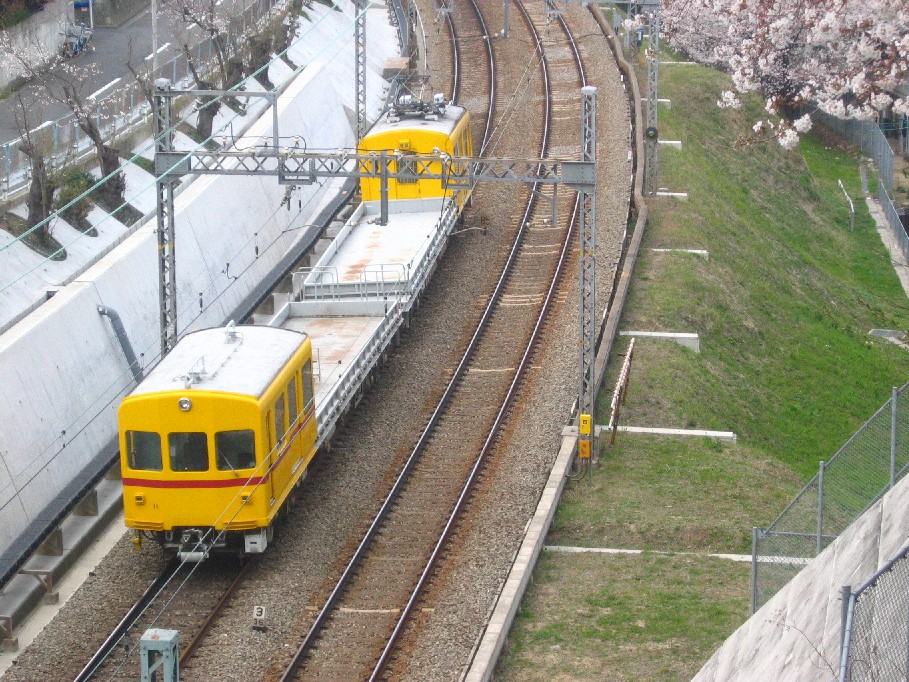 d0044222_09697.jpg