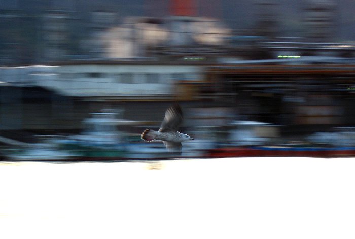 f0031423_21145963.jpg