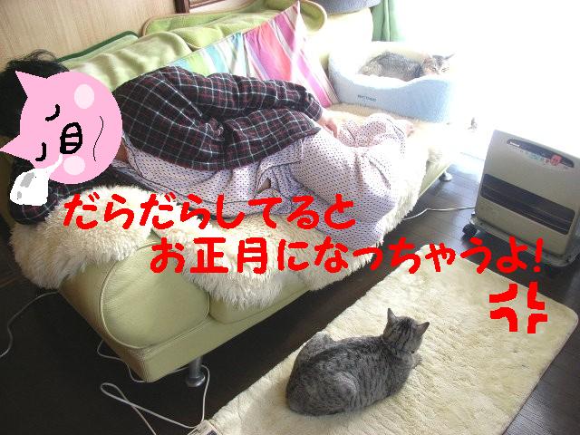 d0081025_17501146.jpg