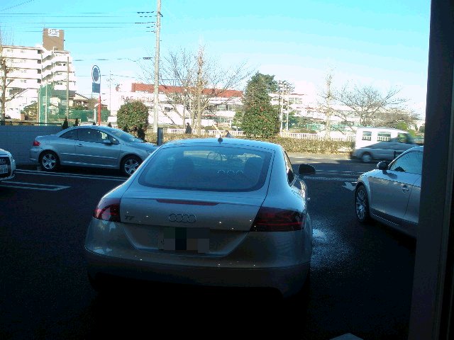 e0065830_1331677.jpg